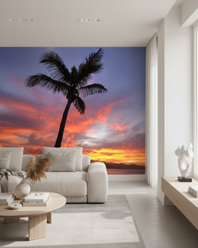 Canary Sunset Palms