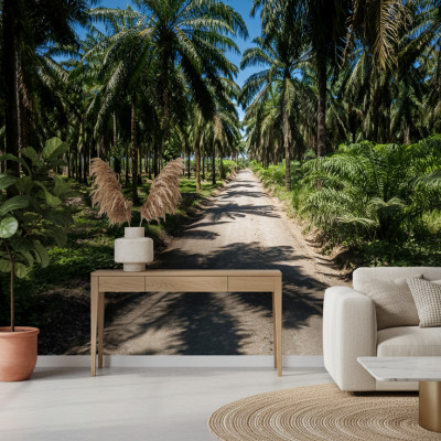 Tico Palm Parkway