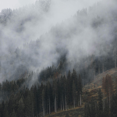 Mystical natural scenery - personalised, SimplyWalls