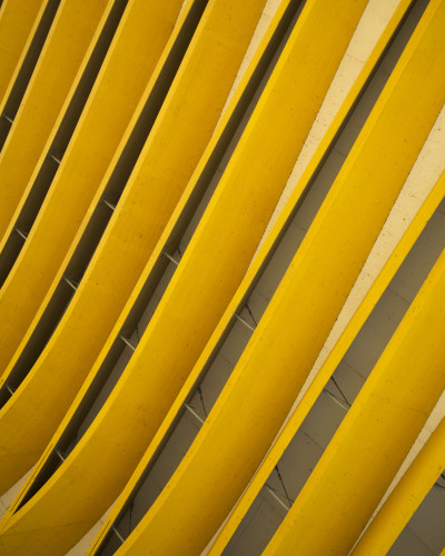 Fototapet Linear Contours cu design abstract de linii galben-muștar și gri pe peretele unui living modern, cu o canapea gri și măsuță de cafea din lemn deschis.
