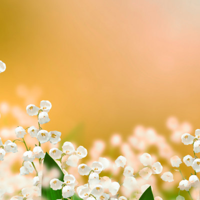 Maybell Blossom Vista - personalised, SimplyWalls