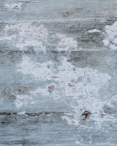 Fototapet personalizat Urban Patina Wall, prezentând un perete cu efect de lemn vechi patinat, cu vopsea albastru-gri decojită, într-un living modern cu canapea gri.