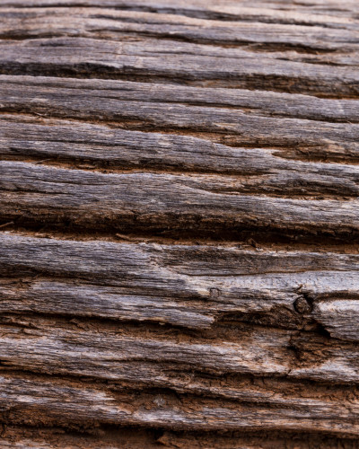 Perete decorat cu tapet Desert Bark Relic, cu textură de scoarță de copac în nuanțe gri-maro, într-o cafenea modernă și primitoare.