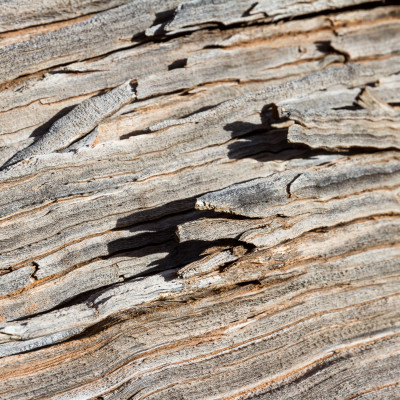 Desert Relic Timber - customised, SimplyWalls