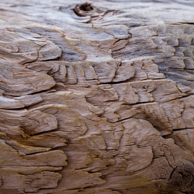 Desert Sentinel Veins - customised, SimplyWalls