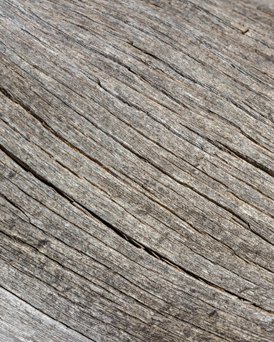 Tapet fototapet Elemental Grainwood cu model rustic de lemn pe peretele unei cafenele moderne, creând o atmosferă caldă și primitoare cu lumini ambientale și plante.