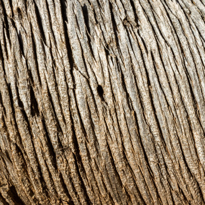 Timeworn Timber Grain - customised, SimplyWalls
