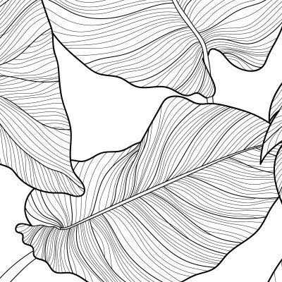 Monochrome Tropic Fronds - personalised, SimplyWalls