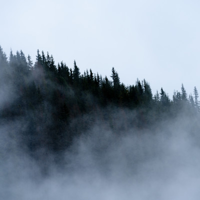 Misty Mountain Horizon - custom, SimplyWalls