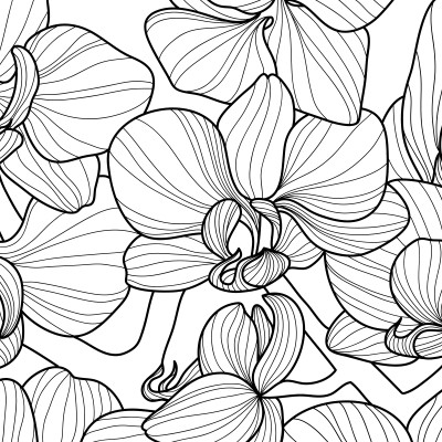 Orchid Tropical Bloom - Custom, SimplyWalls