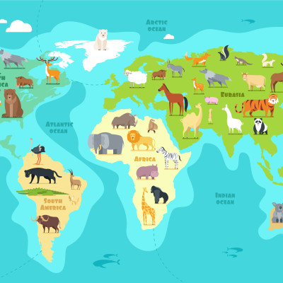 Animal Map Explorers - customised, SimplyWalls