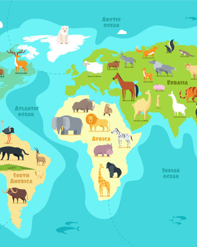 Tapet personalizat Animal Map Explorers cu hartă detaliată a lumii și animale ilustrate, într-o cameră de copii luminoasă cu mobilier alb și masă de joacă.