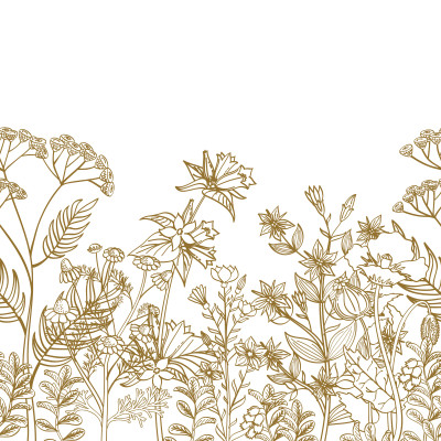 Wild Bloom Silhouette Border - customised, SimplyWalls