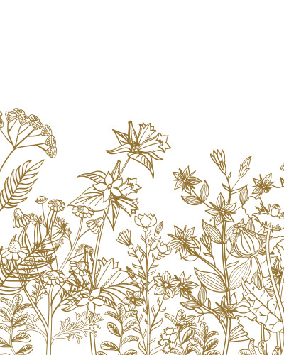 Tapet Wild Bloom Silhouette Border personalizat, cu design floral auriu pe perete bej într-un hol modern și luminos. Decorațiune minimalistă cu consolă și plante.