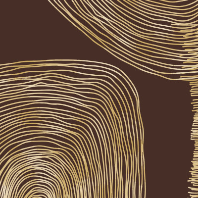 Gilded Line Tapestry custom photo wallpaper with abstract golden line pattern on a dark brown background, mounted on the accent wall of a modern and elegant bedroom, with a double bed, nightstand, and bedside lamp.
