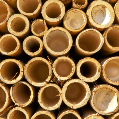 Bamboo Echoes - customised, SimplyWalls