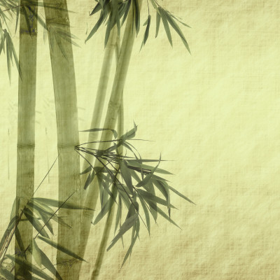 Worn Bamboo Parchment - personalised, SimplyWalls