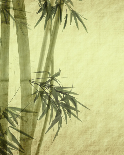 Fototapet Worn Bamboo Parchment personalizat într-un living modern, cu tulpini de bambus verzi pe un fundal texturat verde pal, deasupra unei canapele bej și a unei măsuțe de cafea din lemn.