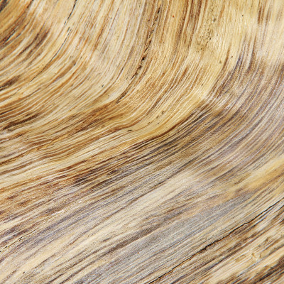 Ancient Hardwood Twist, Simply Walls