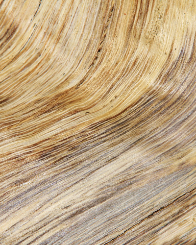 Fototapet cu model abstract de lemn vechi, cu nuanțe de bej și maro, pe un perete deasupra unei canapele crem.