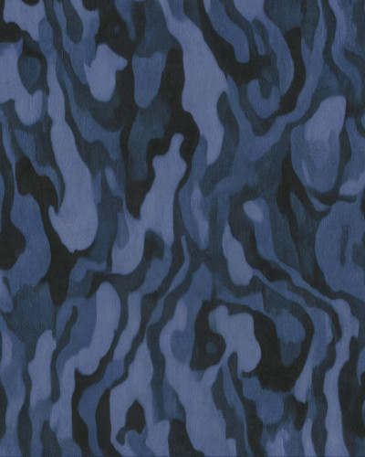 Ettore Veins, Sir Edward